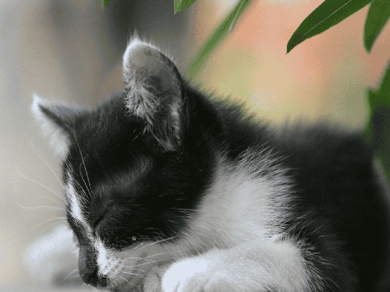 西北妇幼试管哪些报销,华西试管建档表